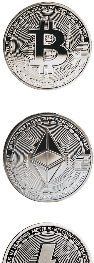 Confident investor reviewing Loyal Vaultex trading portfolio performance results